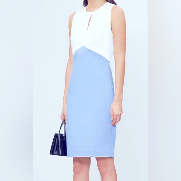 Ted Baker Zamelid Sleeveless Color Block Pencil Sheath Dress w Front Keyhole - Picture 10 of 10